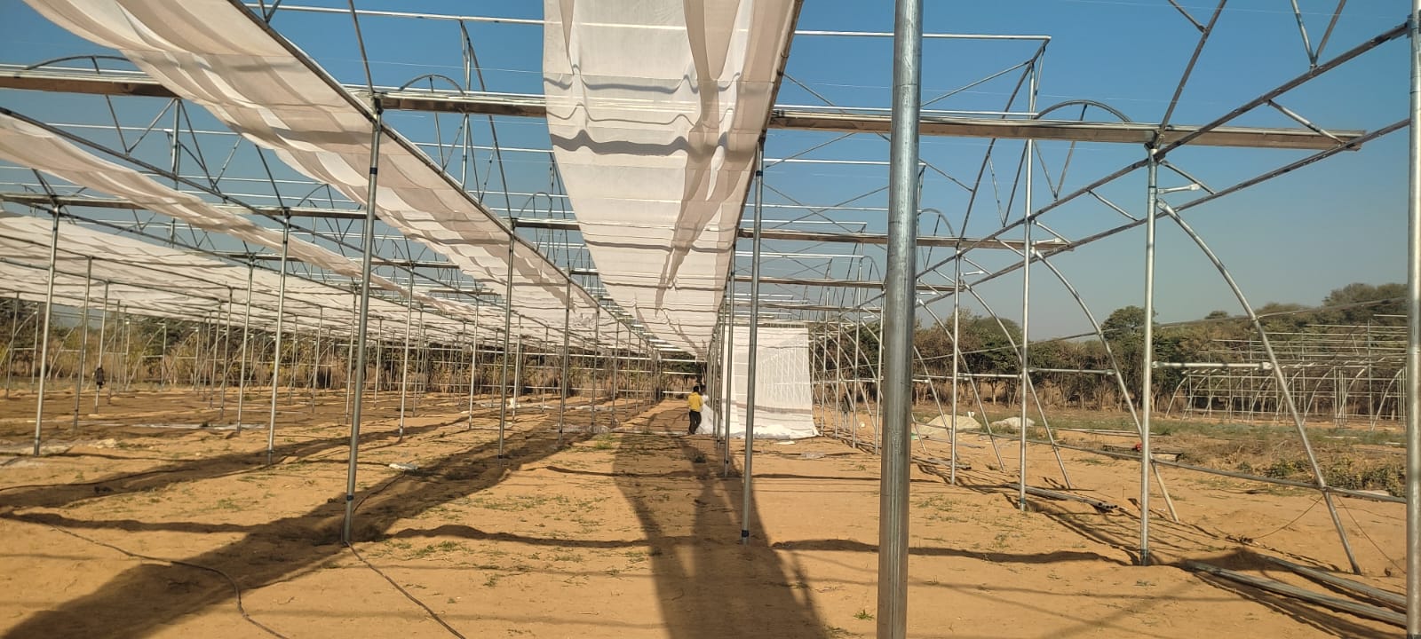 Greenhouse Project 40